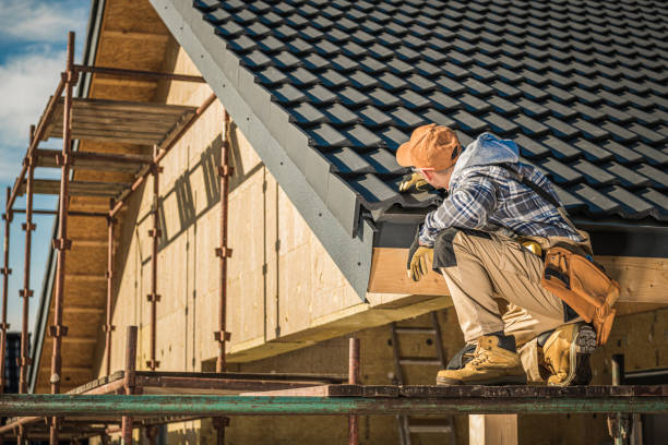 Best Gutter Replacement  in Davisboro, GA