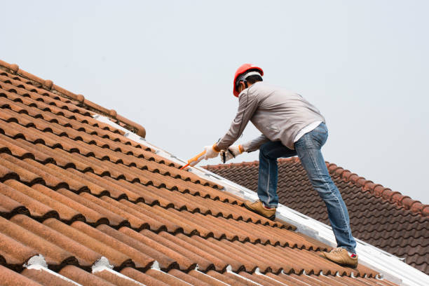 Best Roof Waterproofing  in Davisboro, GA