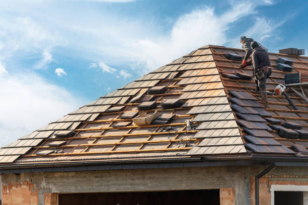 Best Roof Maintenance and Cleaning  in Davisboro, GA