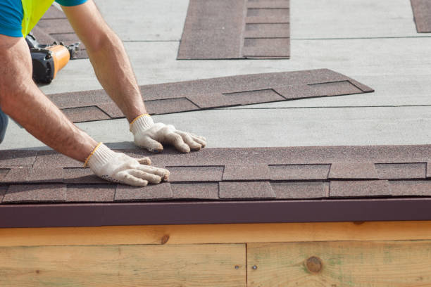 Best Roof Coating and Sealing  in Davisboro, GA